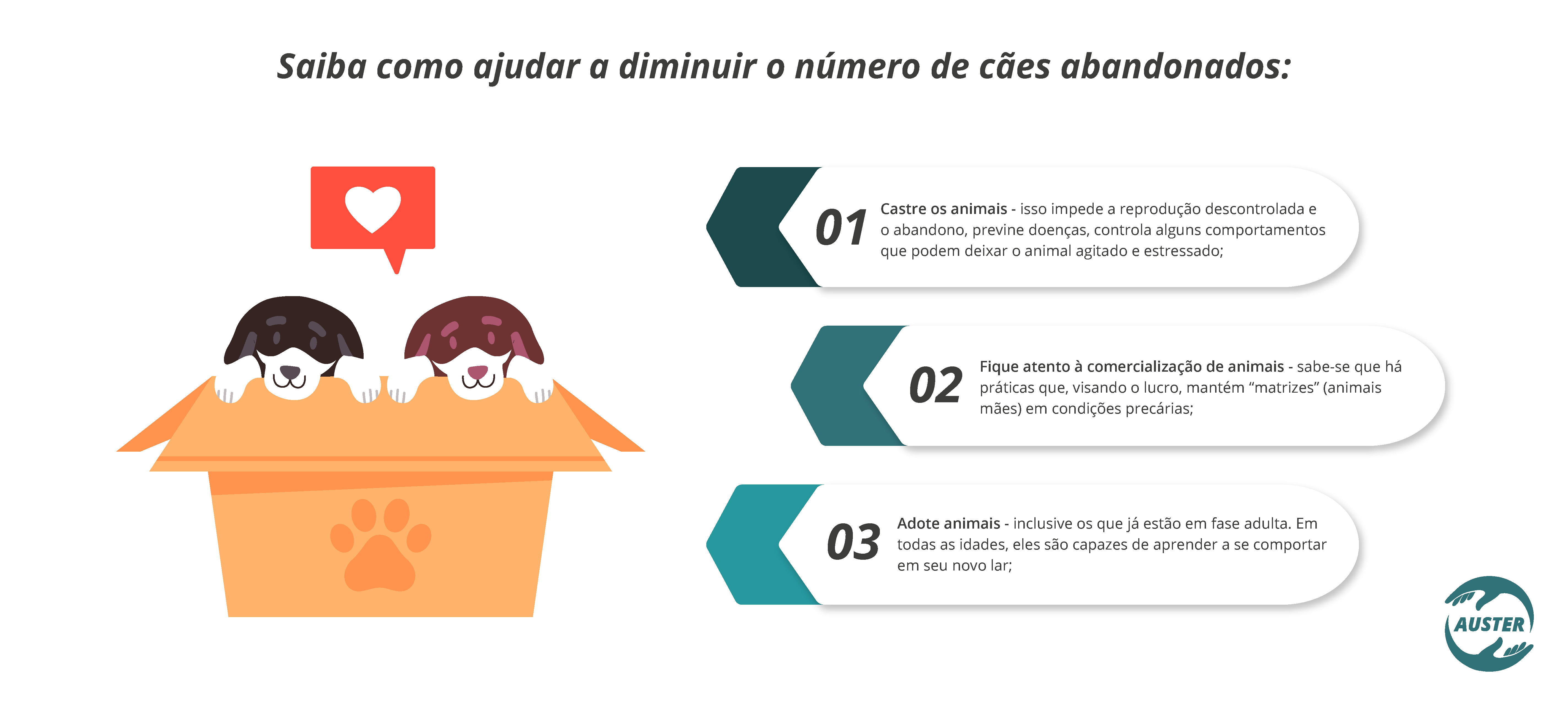 Saiba como ajudar a diminuir os números de cães abandonados: 01 - Castre os animais. Isso impede a reprodução descontrolada e o abandono, previne doenças, controla alguns comportamentos que podem deixar o animal agitado e estressado; 02 - Fique atento à comercialização de animais. Sabe-se que há práticas que, visando o lucro, mantém “matrizes” (animais mães) em condições precárias; 03 - Adote animais, inclusive os que já estão em fase adulta. Em todas as idades, eles são capazes de aprender a se comportar em seu novo lar;