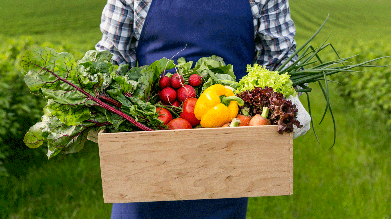 Benefícios de consumir produtos da agricultura local