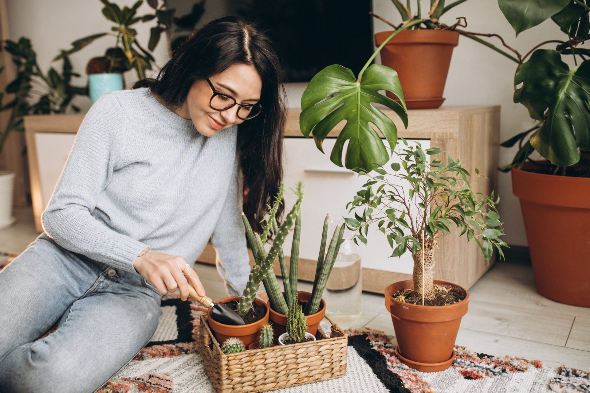 Plantas em casa – como isso pode ajudar no seu dia a dia