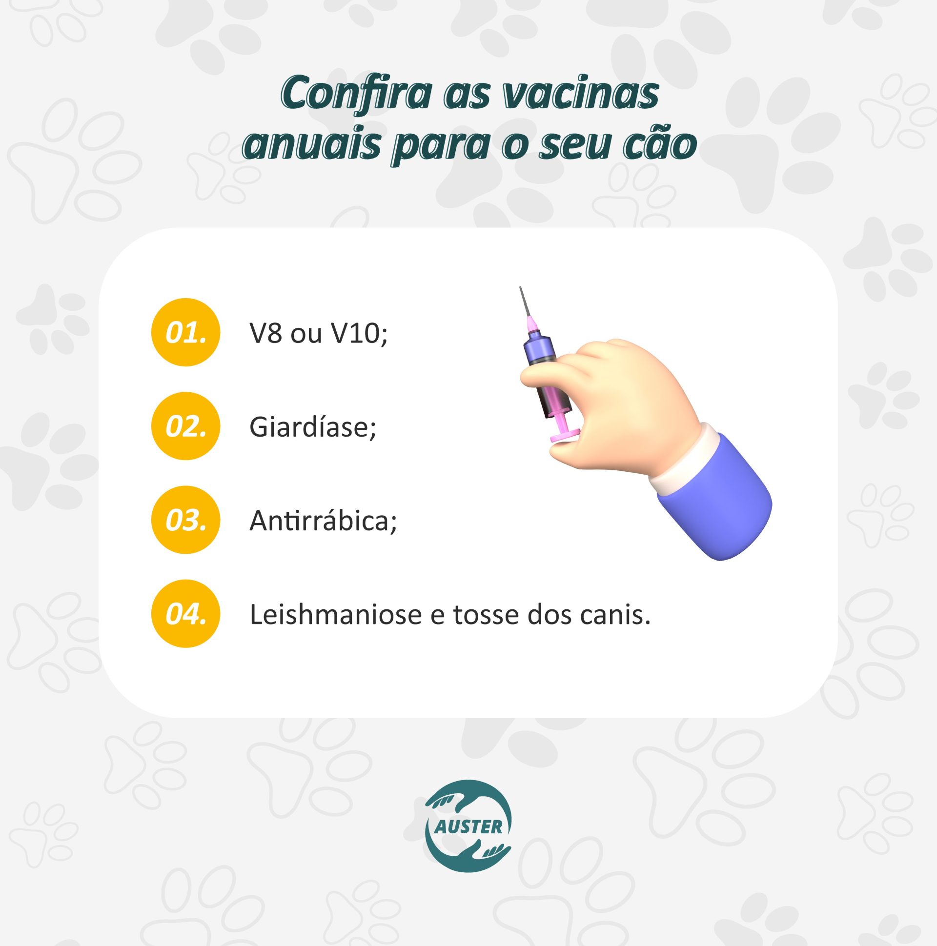 Confira as vacinas anuais para seu cão: • V8 ou V10; • Giardíase; • Antirrábica; • Leishmaniose e tosse dos canis.